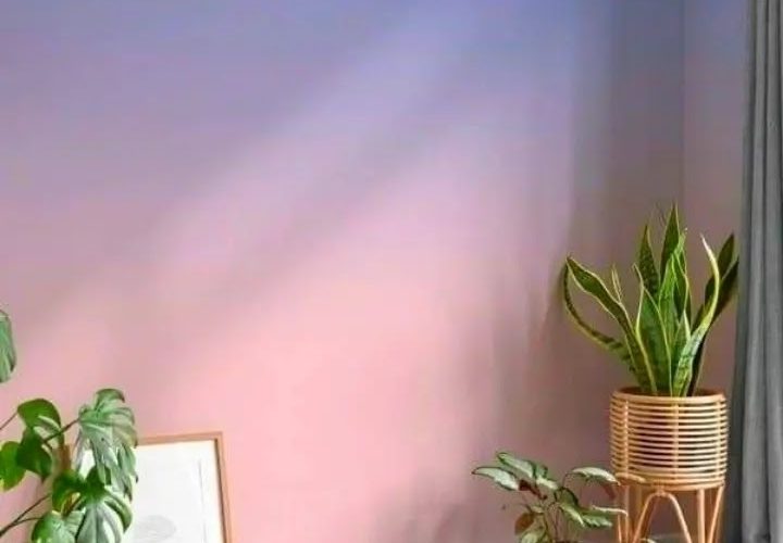 شركة دهانات في الفجيرة