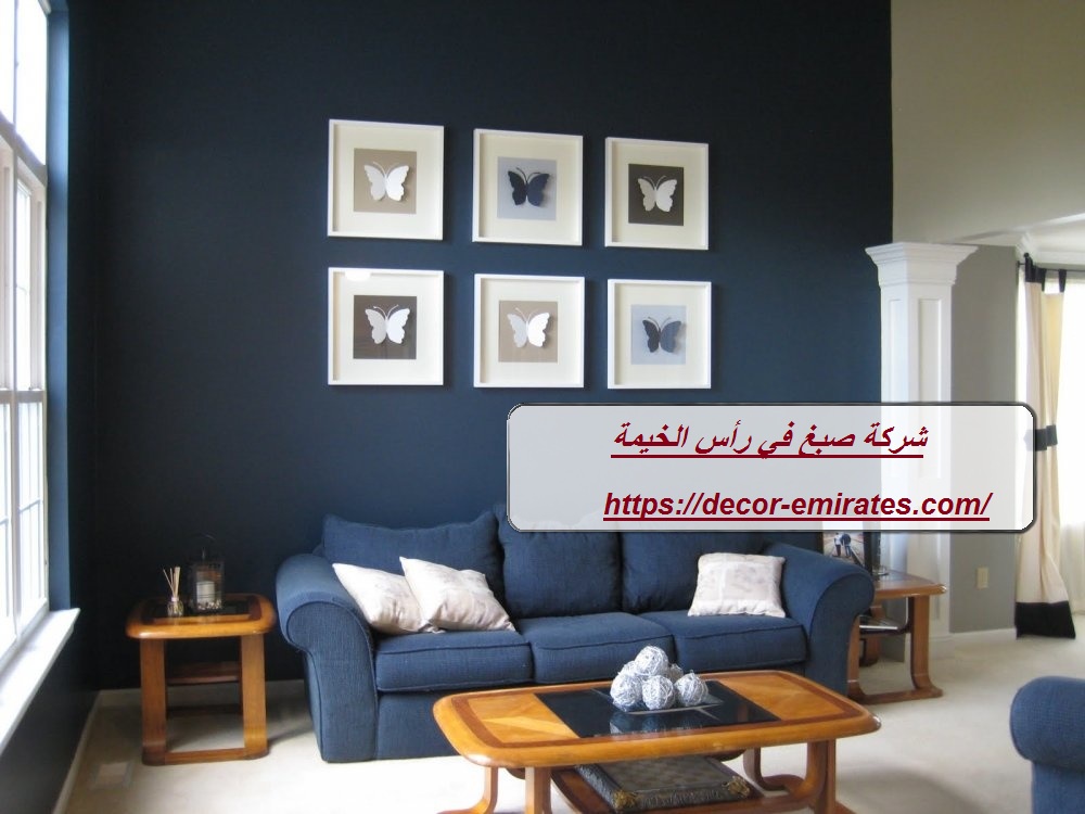 شركة صبغ في رأس الخيمة