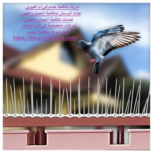 شركة مكافحة حمام في أم القيوين