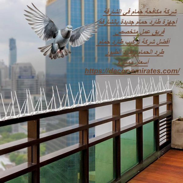 شركة مكافحة حمام في الشارقة