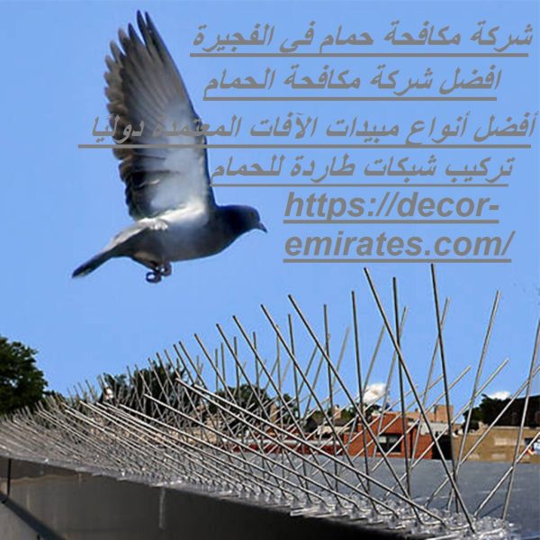 شركة مكافحة حمام في الفجيرة