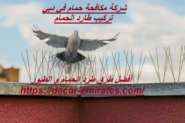 شركة مكافحة حمام في دبي