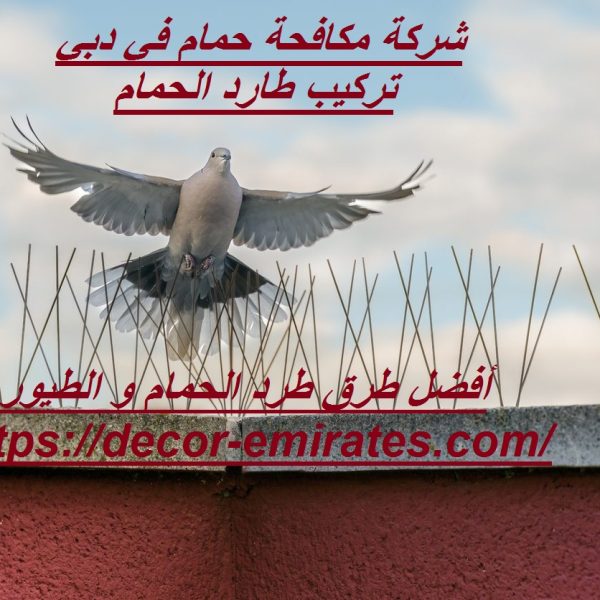 شركة مكافحة حمام في دبي